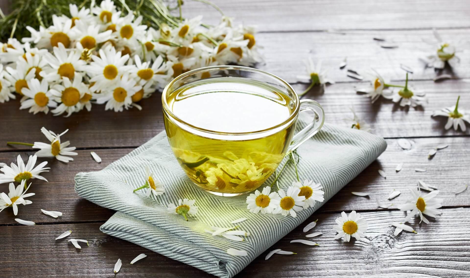 benefícios de tomar chá - camomila